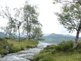 DSC05619