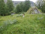DSC05621