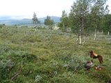 DSC05647