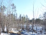 DSC06556