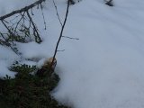 DSC06559