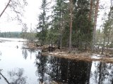 DSC06565