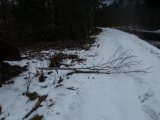 DSC06566