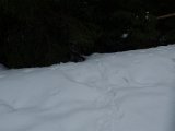 DSC06573