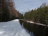 DSC06590