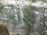 DSC06645