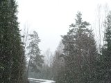 DSC06650