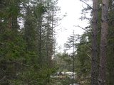 DSC06665