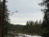 DSC06666
