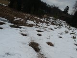 DSC06676
