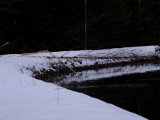 DSCF2263