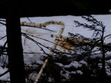 DSCF2265