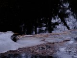 DSCF2266