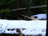 DSCF2268