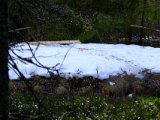DSCF2269