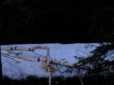 DSCF2270