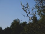 DSCF2292