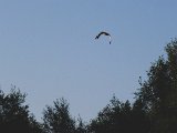 DSCF2293
