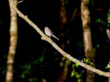 DSCF2298