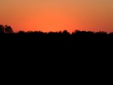 DSCF2316