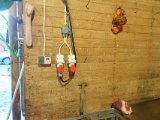 DSC07348