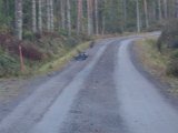 DSC07355