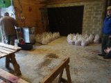 DSC07364