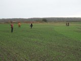 DSC07437
