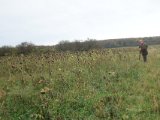 DSC07443