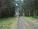 DSC06396