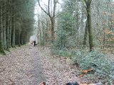 DSC06397