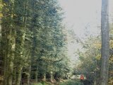 DSC07465