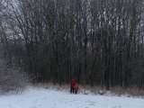 DSC06310