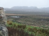 DSC07550