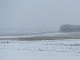DSC06350