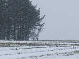 DSC06351