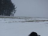 DSC06352