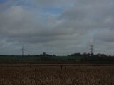 DSC07503