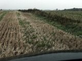 DSC07405