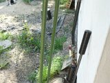 DSC06728