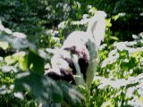 DSC06735