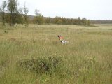 DSC07084