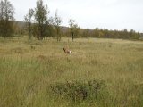 DSC07085