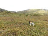 DSC07089