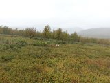 DSC07126