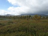 DSC07137