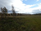 DSC07179