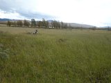 DSC07180