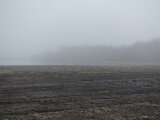 DSC07765