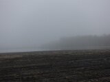 DSC07766